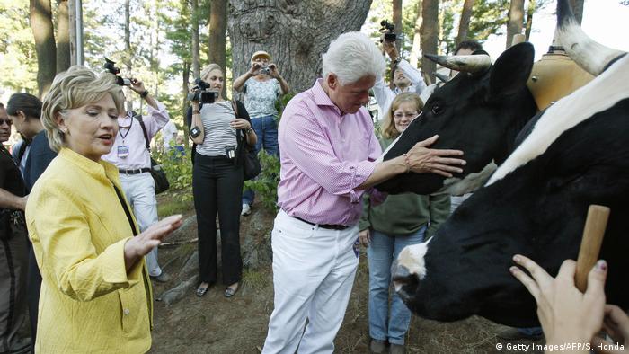 Hillary y Bill Clinton examinando a las vacas.