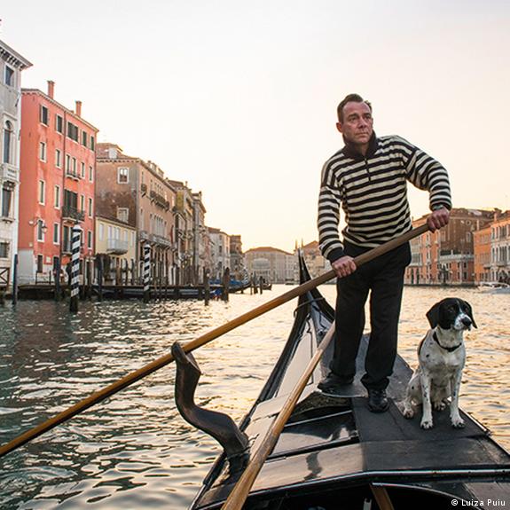 frivillig Glatte charter Dogs of Venice model for new photography book – DW – 10/24/2016