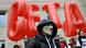 Demonstration gegen CETA und TTIP Demonstration gegen CETA und TTIP