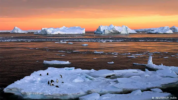Umwelt Antarktis Meerespark ist geplannt ( REUTERS/P. Askin)