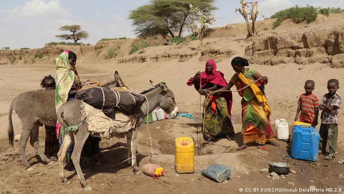 Drought-stricken families and their donkeys in rural Ethiopia