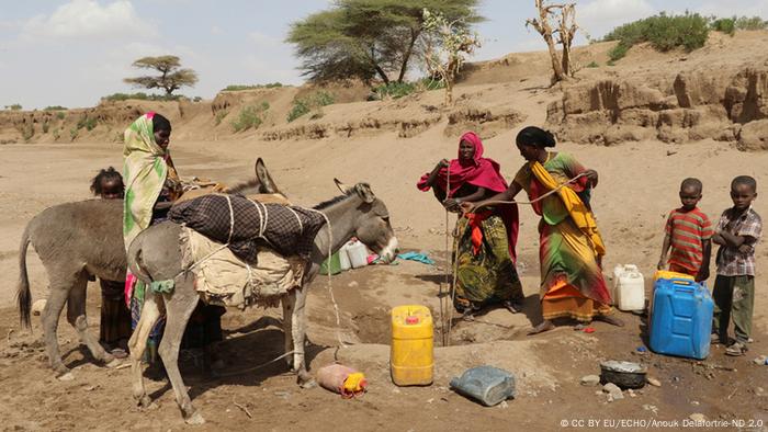 A drought-affected family and their donkeys in rural Ethiopia