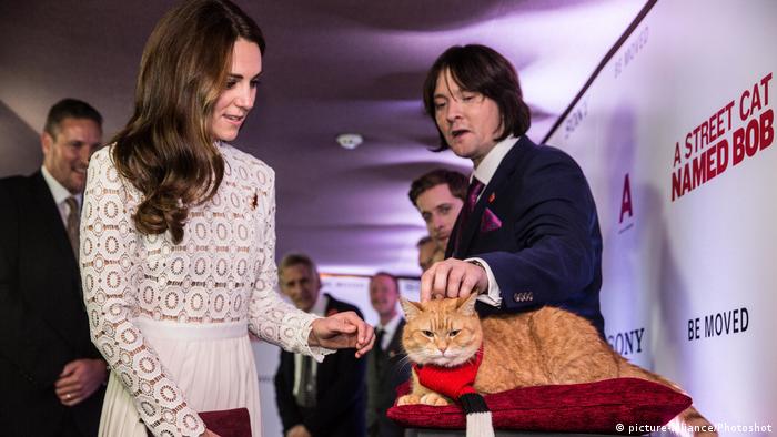 A Street Cat Named Bob Highlights Truth Behind Homelessness And Addiction Film Dw 06 11 2016