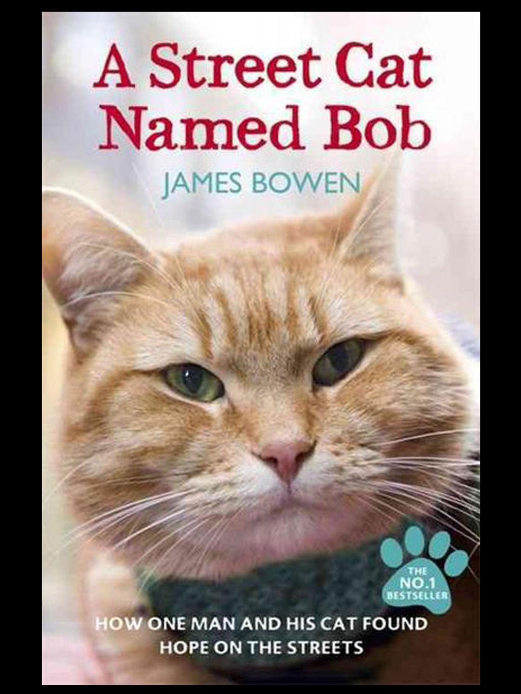 A Street Cat Named Bob Highlights Truth Behind Homelessness And Addiction Film Dw 06 11 2016