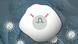 Stills Fit&Gesund Genschere Stills Fit&Gesund Genschere