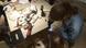 DW euromaxx 17.11.2016 DIY DW euromaxx 17.11.2016 DIY