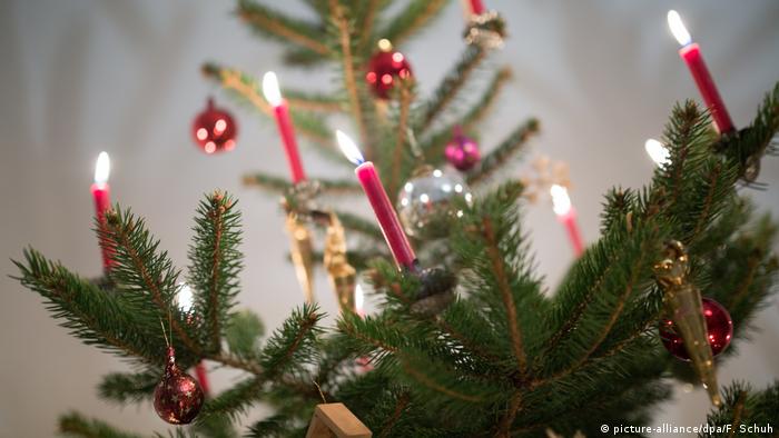German Christmas tree (picture-alliance/dpa/F. Schuh)