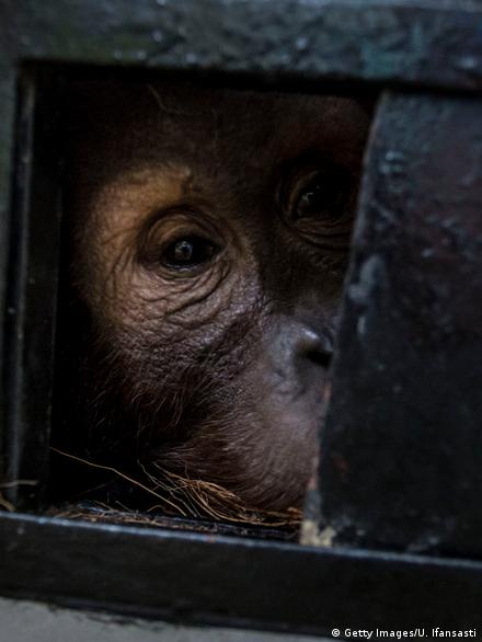 Mast ona porno videolarni tomosha qiling Porno rasmlarda rus buvilar