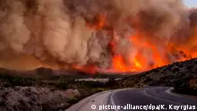 Griechenland Waldbrand auf der Insel Chios (picture-alliance/dpa/K. Koyrgias)