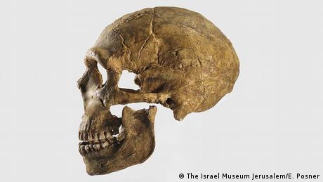 human skull (The Israel Museum Jerusalem/E. Posner)