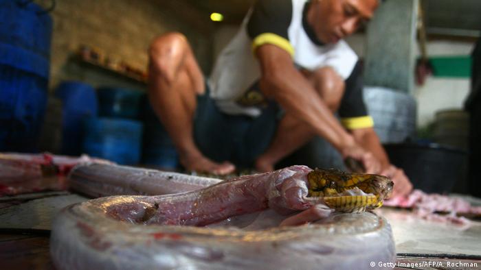 Indonesien Produktion Schlangenleder (Getty Images/AFP/A. Rochman)