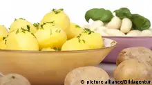 德国人爱吃的10种土豆做法
