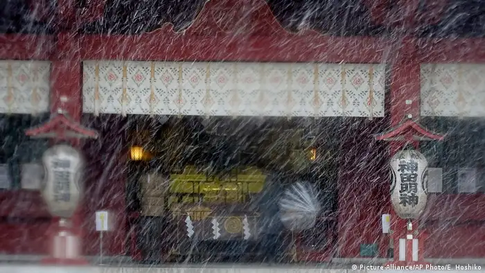 Japan Tokyo Schnee (Picture-Alliance/AP Photo/E. Hoshiko)