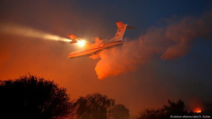 Brände in Israel (picture-alliance/dpa/A. Sultan)