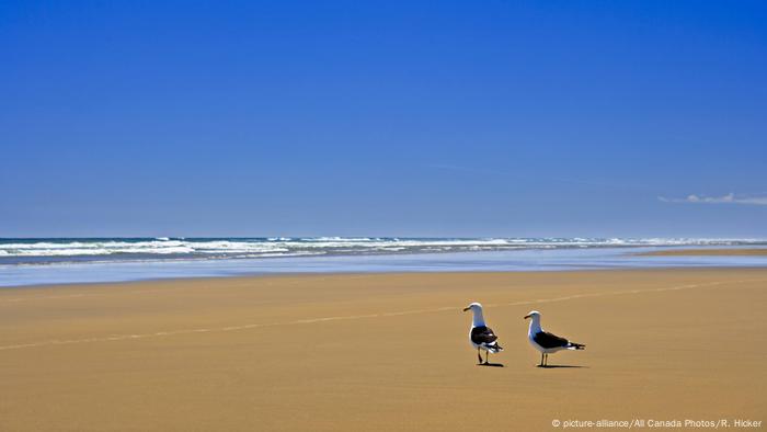 Neuseeland Strand Ripiro in Kaipara, West Coast (picture-alliance/All Canada Photos/R. Hicker)