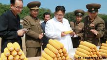 Hak Asasi Dipertaruhkan Agar Tidak Kelaparan di Korea Utara
