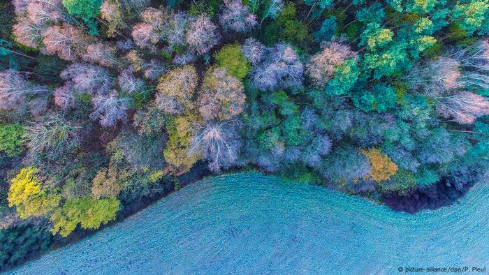 Drohne Morgenstimmung in Brandenburg (picture-alliance/dpa/P. Pleul)