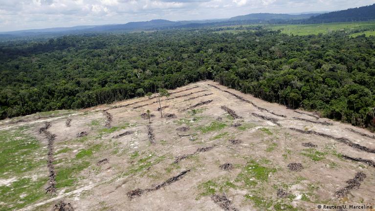 Deforestation prompts Germany to suspend Amazon projects – DW – 08/10/2019