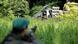 Brazil fights illegal logging Brazil fights illegal logging