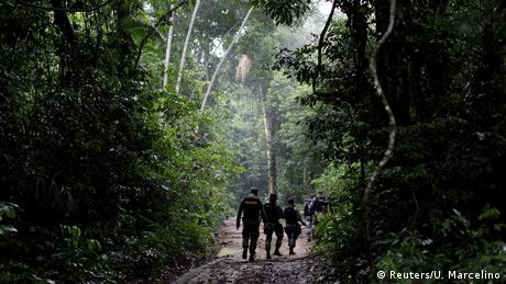 Brazil fights illegal logging (Reuters/U. Marcelino)
