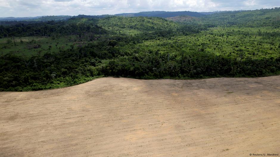 Amazon Deforestation: Tragic Uptick – Dw – 12 01 2016