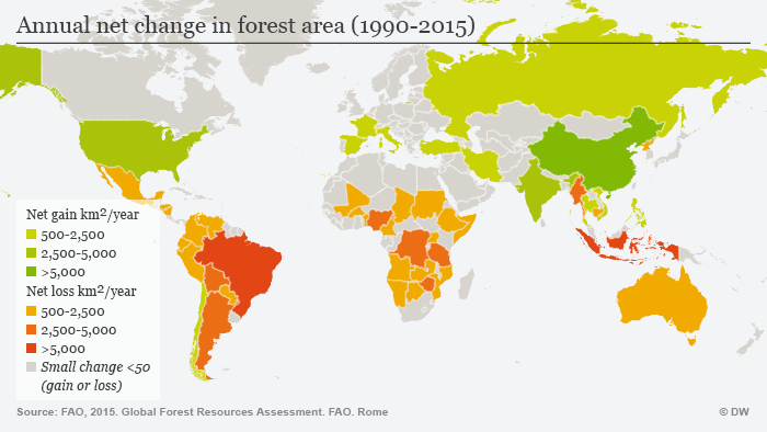 Amazon Deforestation Ticks Tragically Up Environment All Topics From Climate Change To Conservation Dw 01 12 16