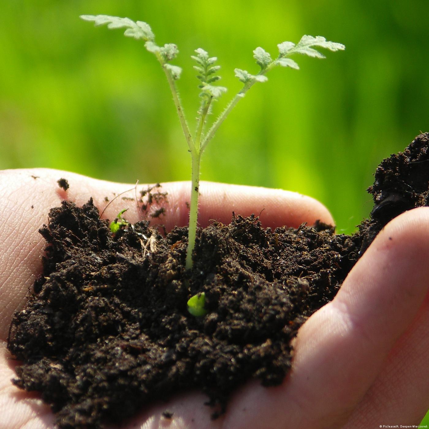Living Planet: Nature in transition