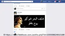 فيروز وحزب الله.. ونهاية طريق النحل
