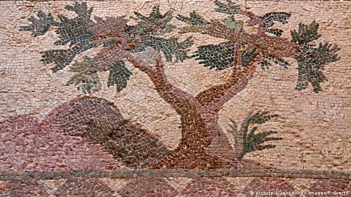Zypern Paphos Mosaik (picture-alliance/Arco Images/F. Gierth)