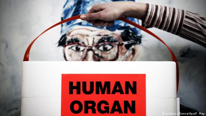 Special box for holding human organs in front of picture of a surgeon
