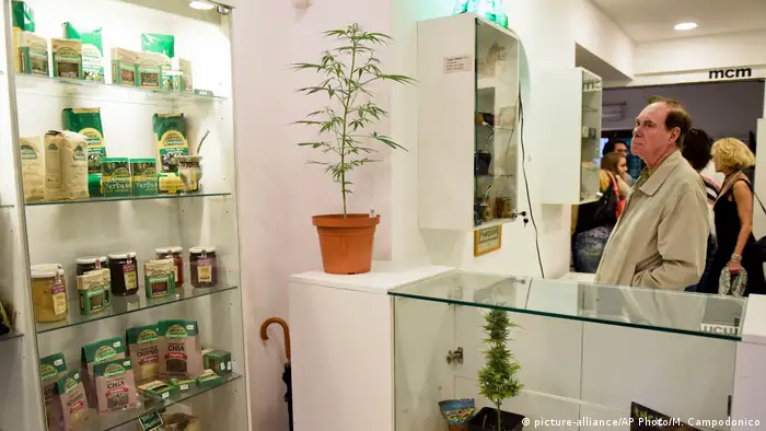 Uruguay Cannabis Museum in Montevideo (picture-alliance/AP Photo/M. Campodonico)