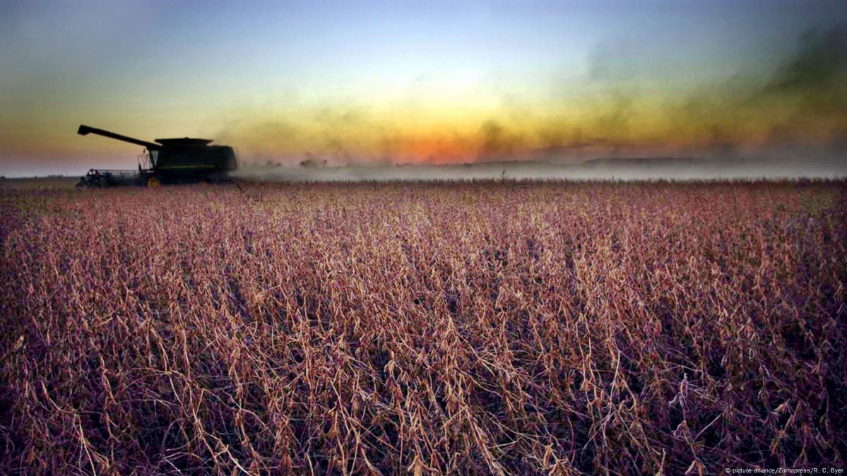 Who Controls Our Food DW 01 12 2017