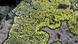 Landkartenflechte Rhizocarpon geographicum Landkartenflechte Rhizocarpon geographicum