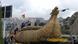 Bolivien | Bolivien startet Expedition nach Australien mit Boot aus Schilfgras - Viracocha III Bolivien | Bolivien startet Expedition nach Australien mit Boot aus Schilfgras - Viracocha III