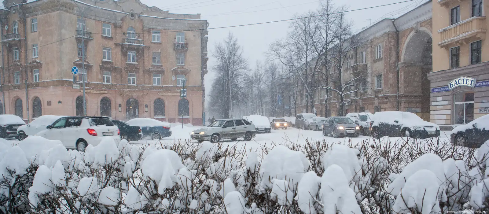 В Петрозаводске уволилось все руководство комитета ЖКХ – DW – 12.01.2024