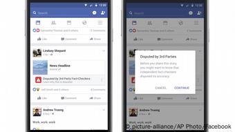 Facebook Fake News-Optionen