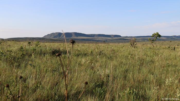 Chapada dos Veadeiros é uma das principais áreas de preservação do cerrado