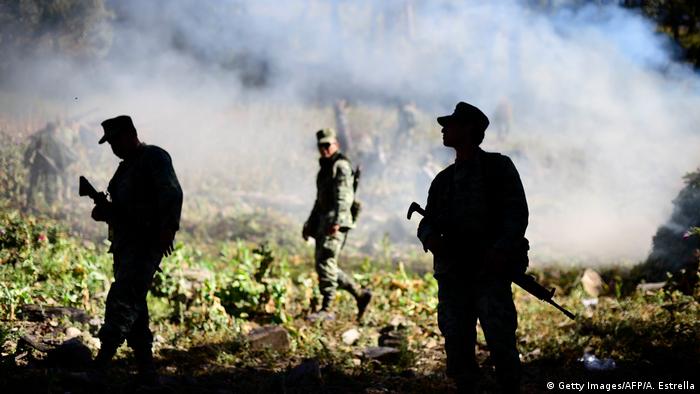 Soldados queman una plantación de amapola en Sinaloa (2016).