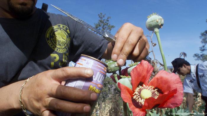 Estados Unidos está experimentando una de las mayores emergencias de su historia por la entrada al país de drogas duras, advirtió el experto en narcóticos del Departamento de Estado, William Brownfield. Este enfatizó, asimismo, que se trata de tal vez la peor crisis de heroína y opiáceos desde los años 60. (3.03.2017)