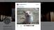 Screenshot Twitter PolizeiBerlinEinsatz Screenshot Twitter PolizeiBerlinEinsatz