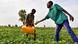 Nigeria Unruhen und Landwirtschaft Nigeria Unruhen und Landwirtschaft