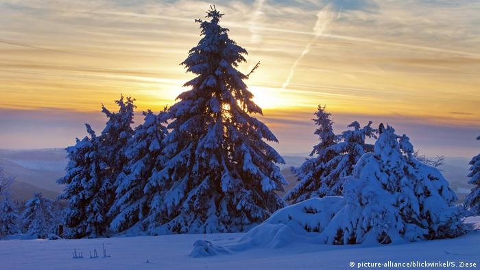 Deutsachland Winterlandschaft bei Sonnenuntergang - Tage werden wieder länger (picture-alliance/blickwinkel/S. Ziese)