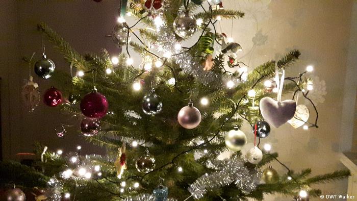 Don T Buy A Christmas Tree Plant One Environment All Topics From Climate Change To Conservation Dw 21 12 2018