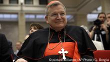 ARCHIV 2015 +++
Cardinal Raymond Burke attends ' The Voice of the Family ' meeting, in Rome, Saturday, May 9, 2015. (AP Photo/Gregorio Borgia) |