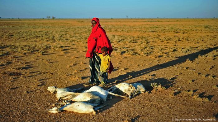 World Hunger Continues To Rise Due To Conflict Climate Change Says Un Report Environment All Topics From Climate Change To Conservation Dw 15 07 2019