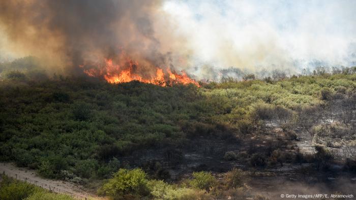 Los incendios forestales quemaron unas 700.000 hectáreas en la región central de la Argentina, informó el ministro de Ambiente y Desarrollo Sustentable, el rabino Sergio Bergman, quien habló de profecía apocalíptica. Otras fuentes aseguran que el territorio quemado por incendios forestales alcanzaría ya unas 1,4 millones de hectáreas. (6.01.2017)