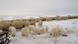 USA Wyoming - Our beautiful planet eco@africa USA Wyoming - Our beautiful planet eco@africa