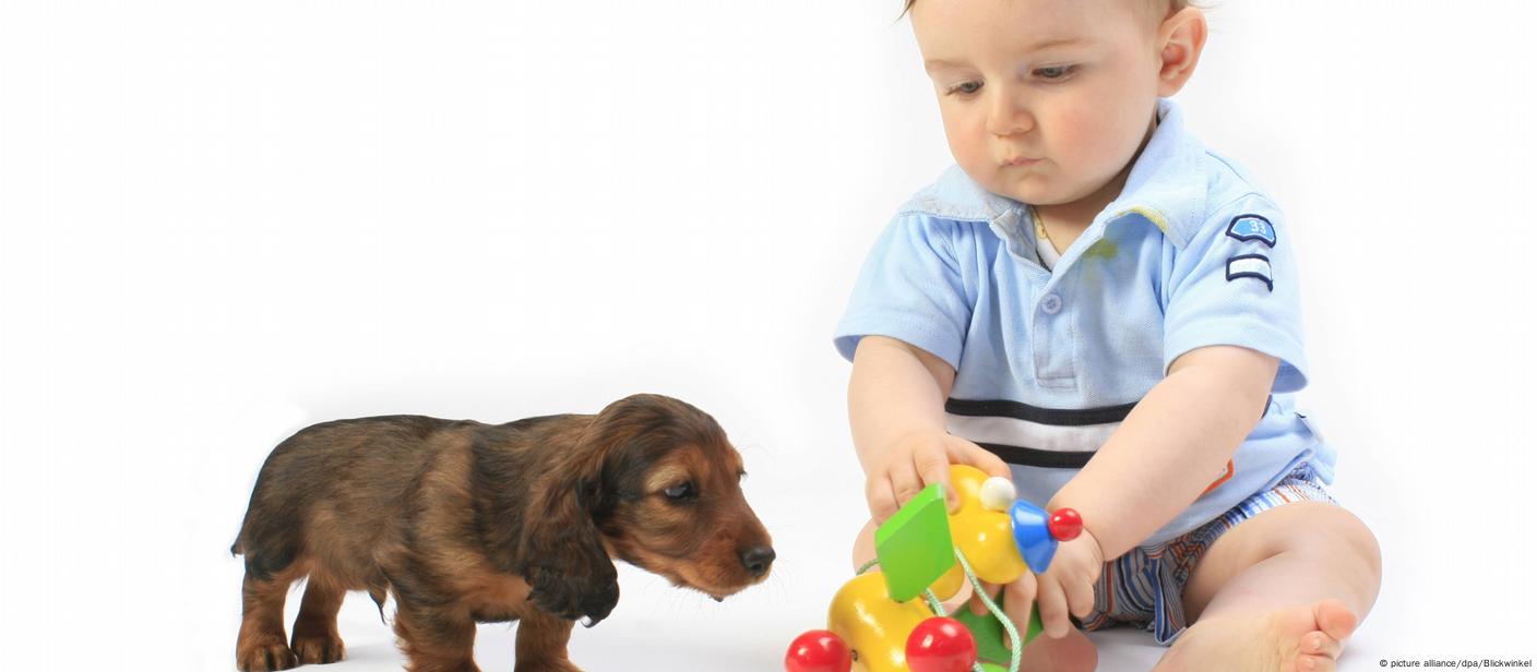 can babies and dogs communicate