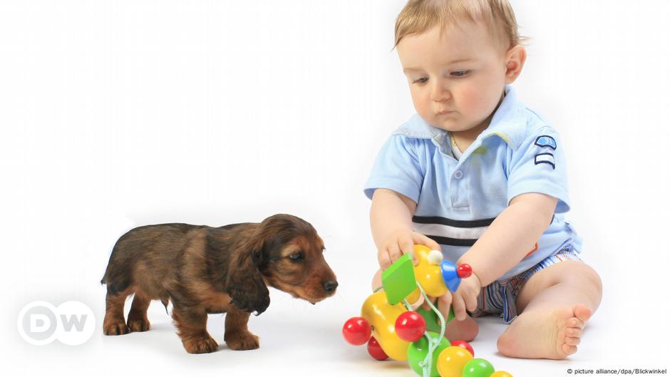 can babies and dogs communicate