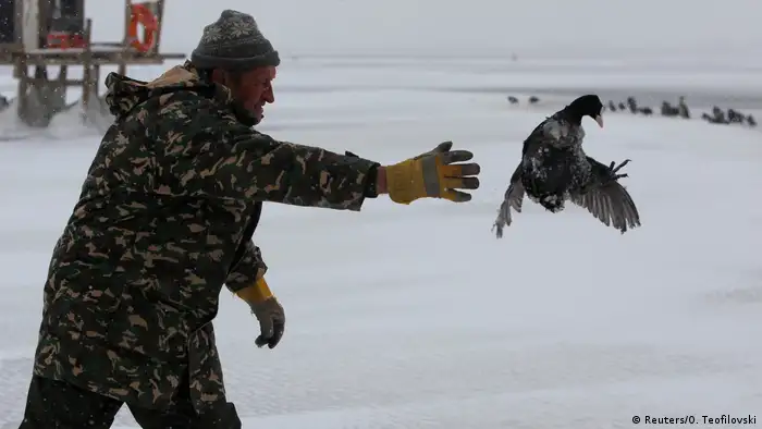 Mazedonien Dojran-See - Mann befreit eingefrorenen Vogel (Reuters/O. Teofilovski)